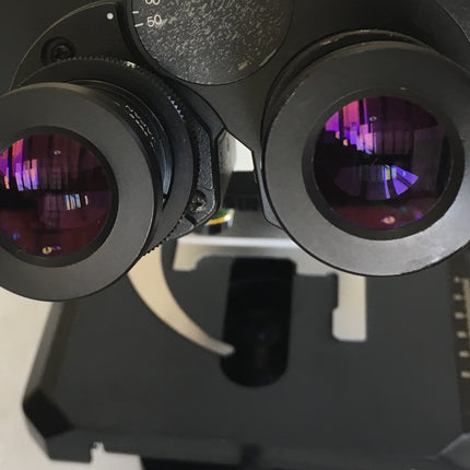 Olympus BX41 Trinocular Phase Contrast Microscope