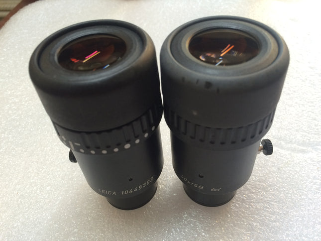 1 Pair of Leica 40x6B microscope eyepieces 10445303